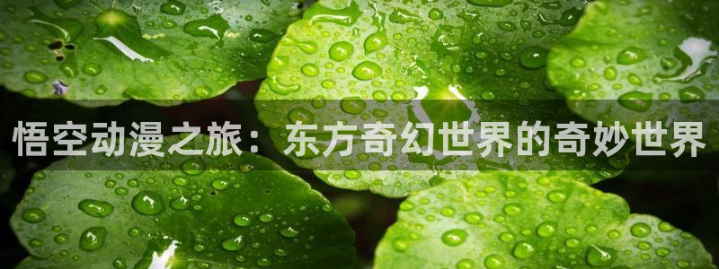 喵趣漫画在线阅读页面免费阅读：悟空动漫之旅：东方奇幻世界的奇妙世界