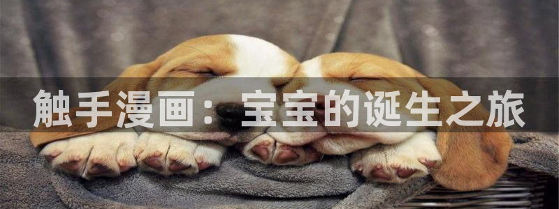 喵趣纯净版：触手漫画：宝宝的诞生之旅