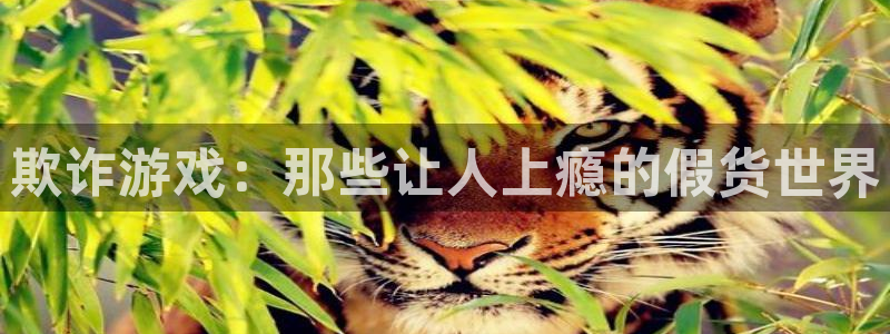 喵趣漫画无删减版：欺诈游戏：那些让人上瘾的假货世界