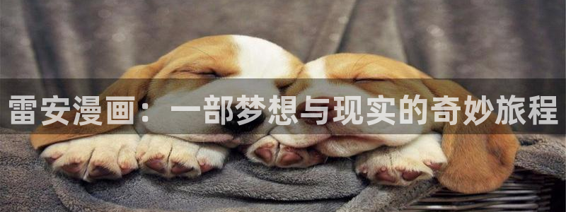 漫画里的罗康林漫画在线观看喵趣：雷安漫画：一部梦想与现实的奇妙旅程