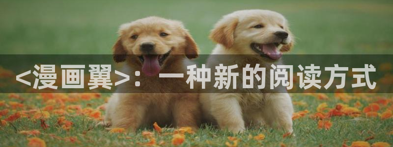www.喵趣.com.