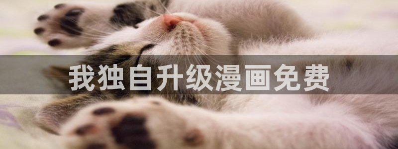 喵趣漫画无广：我独自升级漫画免费
