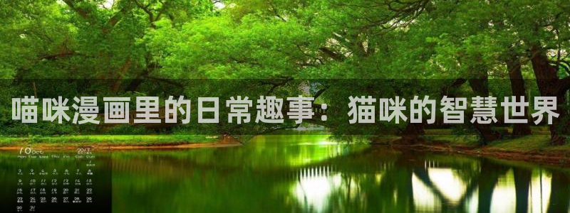 喵趣漫画官方正版入口：喵咪漫画里的日常趣事：猫咪的智慧世界