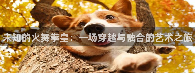 喵趣漫画下载下载：未知的火舞拳皇：一场穿越与融合的艺术之旅