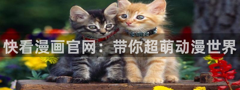 喵趣漫画app官网版：快看漫画官网：带你超萌动漫世界