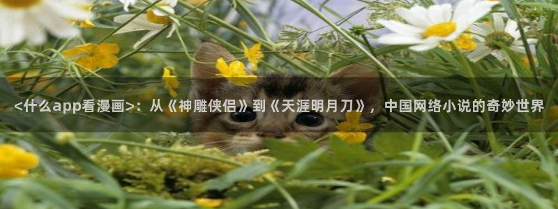喵趣漫画最新版app下载：<什么app看漫画>：从《神雕侠侣》到《天涯明月刀》，中国网络小说的奇妙世界