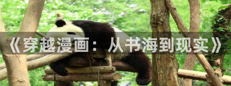 喵趣漫画官网在线阅读：《穿越漫画：从书海到现实》